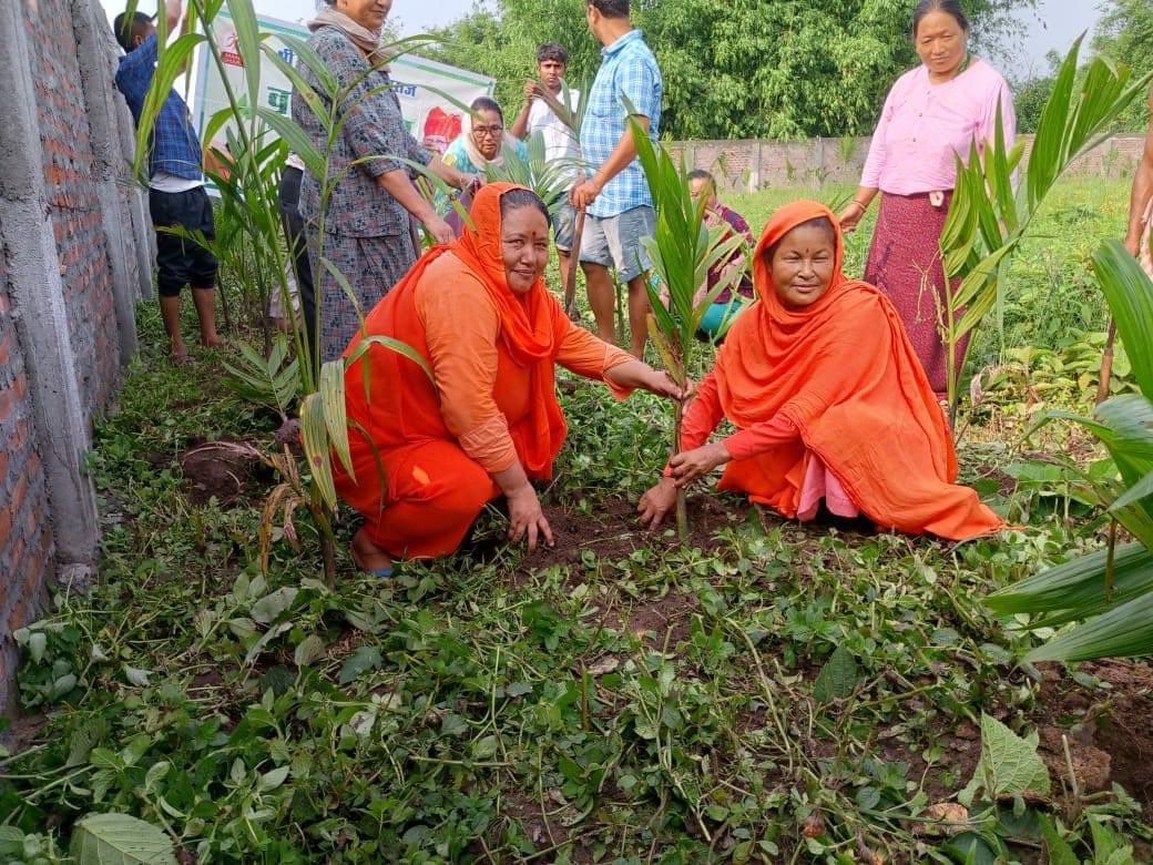 #EnvironmentDay2023 saw a flurry of activities by #ManavUtthanSewaSamiti Ashrams across India to promote the message of protecting our Environment.
At #Ahmedabad, along with Anuvrat Samiti, Tulsi saplings were distributed under the guidance of M. Adhina Baiji & M. Bandagi Baiji.