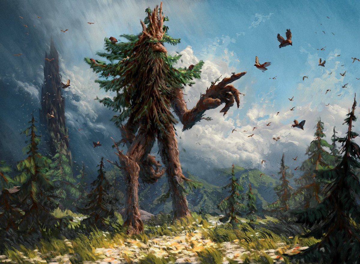 gm! some more of my LOTR MTG cards have been revealed! I've never seen a pine tree Ent before, so i figured I could play with that idea! gm! some more of my LOTR MTG cards have been revealed! I've never seen a pine tree Ent before, so i figured I could play with that idea!