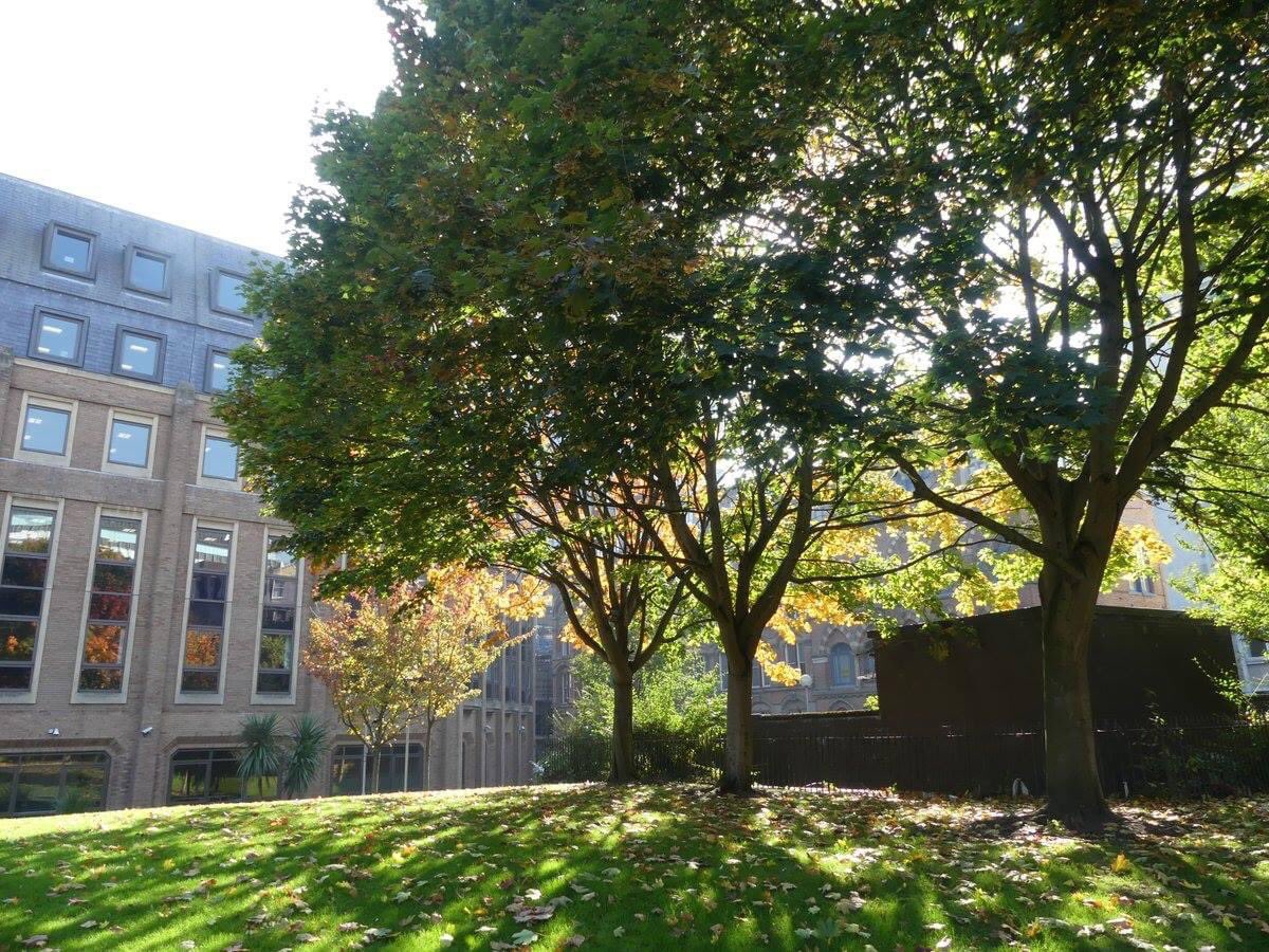 Terry Clarke (@terry__clarke) on Twitter photo @robdoylev <a href="/Biennial/">Liverpool Biennial</a> <a href="/bixtethgardens/">LearnFromBixtethGardens</a> <a href="/lpoolcouncil/">Liverpool City Council</a> A haven of tranquilly in the city centre, bulldozed, boarded up and left abandoned by the City Council to this day. @robdoylev <a href="/Biennial/">Liverpool Biennial</a> <a href="/bixtethgardens/">LearnFromBixtethGardens</a> <a href="/lpoolcouncil/">Liverpool City Council</a> A haven of tranquilly in the city centre, bulldozed, boarded up and left abandoned by the City Council to this day.