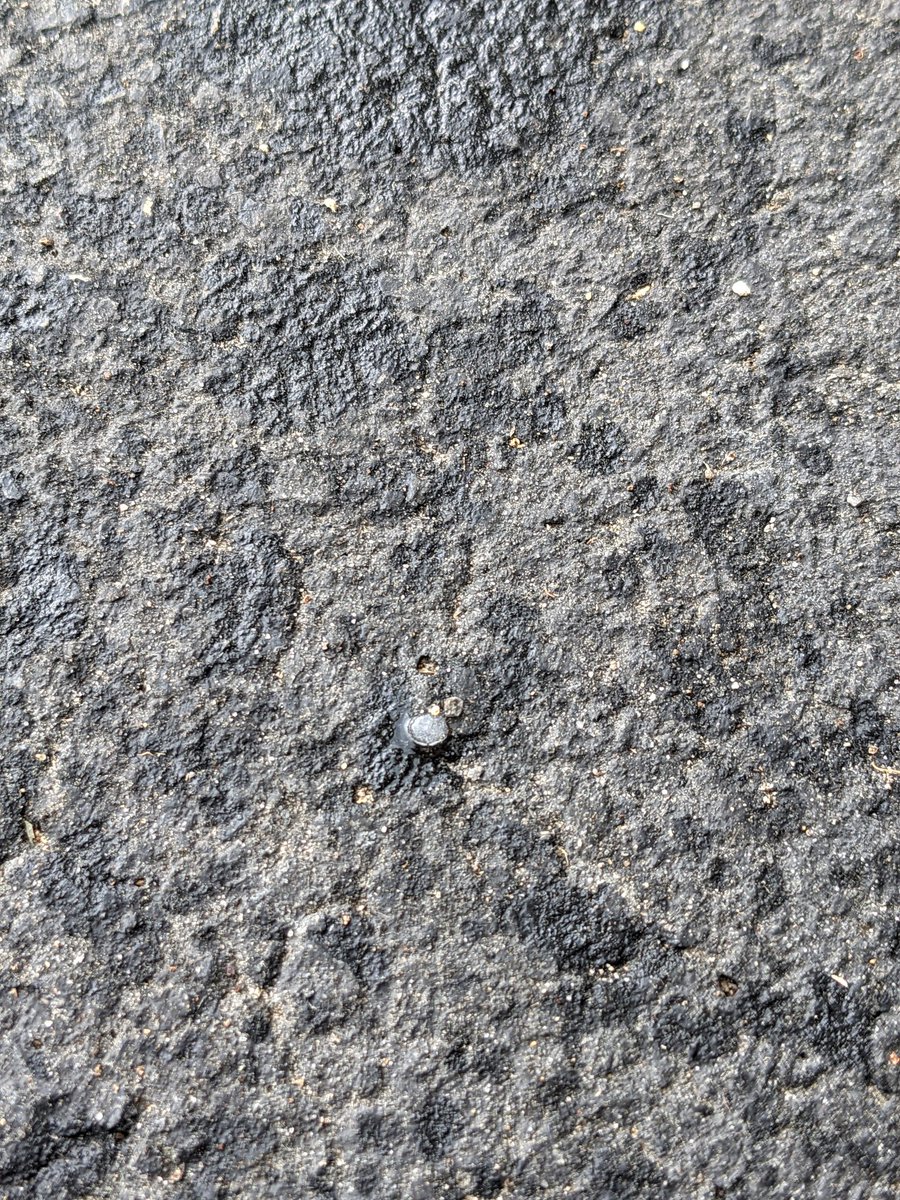 A little rain and some pea size hail with the developing shower in Stormstown just after 1pm today.
#pawx <a href="/NWSStateCollege/">NWS State College</a>