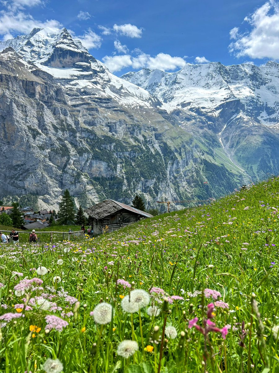 Believe it or not, this hiking trail is called The Flower Trail 😁

#Murren #Switzerland