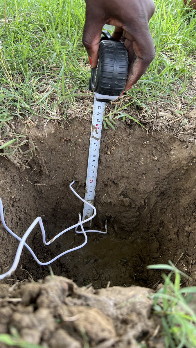 davelefr's tweet photo. [phase deux😁]
Journée de mise en place des capteurs 💧sur notre parcelle expérimentation de @InstitutAgroMtp 

Nous allons pouvoir interpréter le climat et le bien-être animal pendant ces 5 prochaines années.
 
#agrivoltaics #rangevoltaic #agrivoltaique #recherche #agro https://t.co/aJMMmvpJgQ