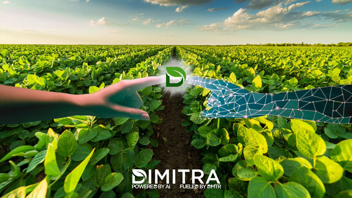 Dimitra está a la vanguardia de la agricultura digital con su token $DMTR. Descubra cómo la empresa está utilizando blockchain e IA para mejorar el sector agrícola. 🌱💪 br.dimitra.io

#agriculturainteligente #sostenibilidad