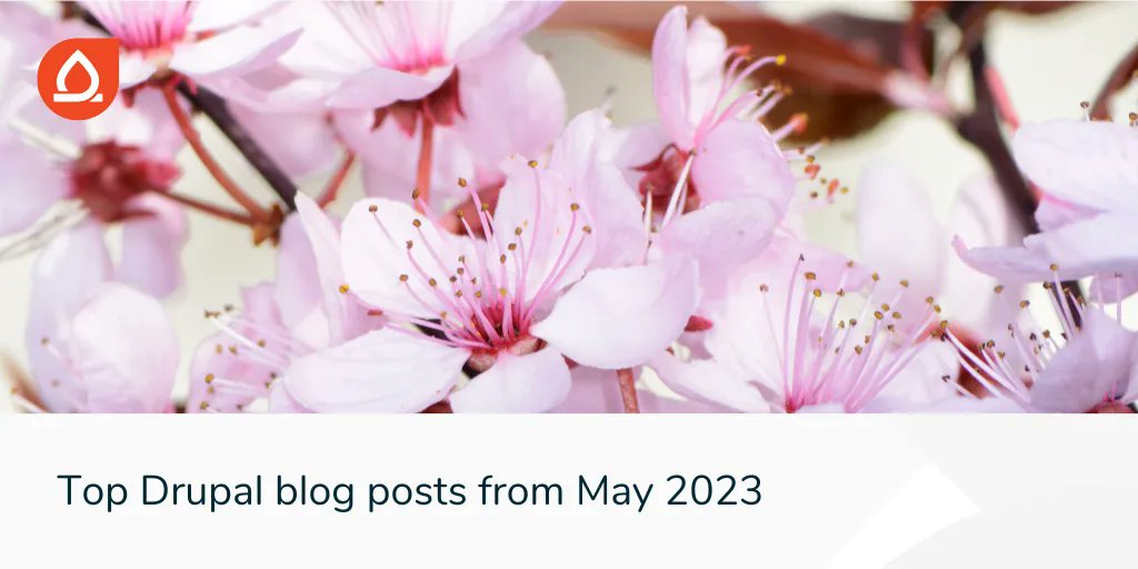 agiledrop's tweet image. Check out our latest selection of monthly top Drupal articles: agiledrop.com/blog/top-drupa… #Drupal #Drupal10 #OpenSource #CMS