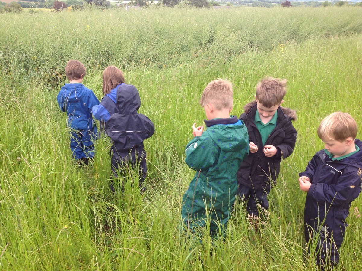 We love our regular visits to Sue's farm. Meeting the new kids; seeing how much the goslings have grown; exploring the polytunnel; looking closely at the rape seed and the apples; and looking at honeycomb.  #beyoubesibford #sibfordeyfs #countryliving #farms