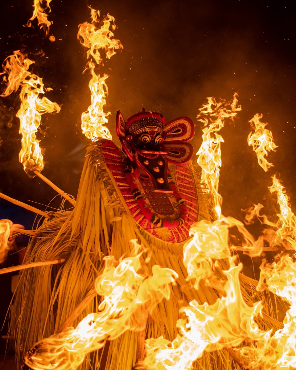 Avinash Rajendran (📸,💙💛) tweet media