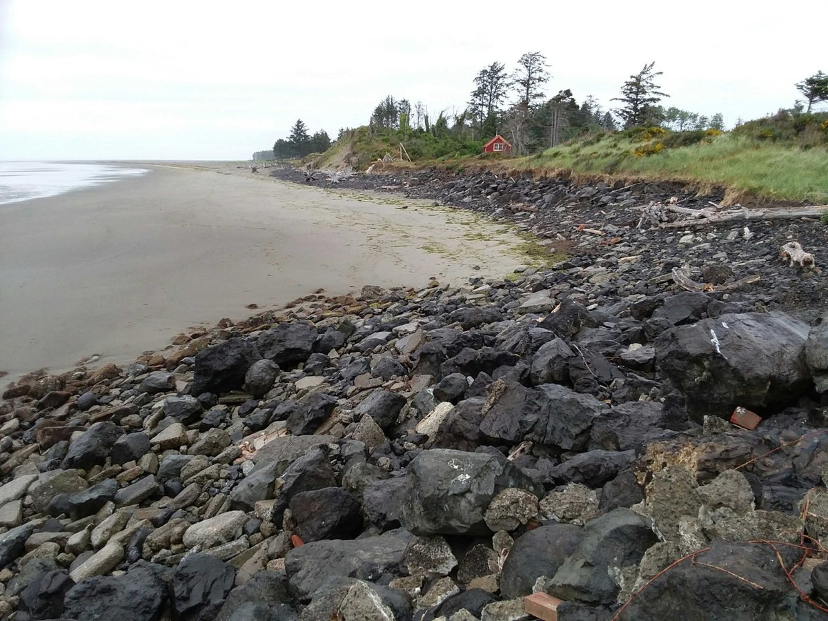 Take a Beach Photo report from Tokeland, WA: mycoast.org/reports/119551 #takeabeachphoto #WA