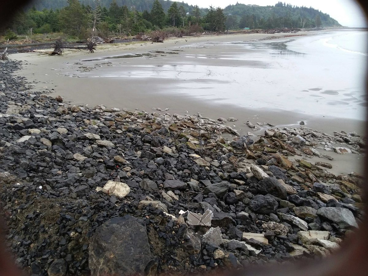 Take a Beach Photo report from Tokeland, WA: mycoast.org/reports/119548 #takeabeachphoto #WA