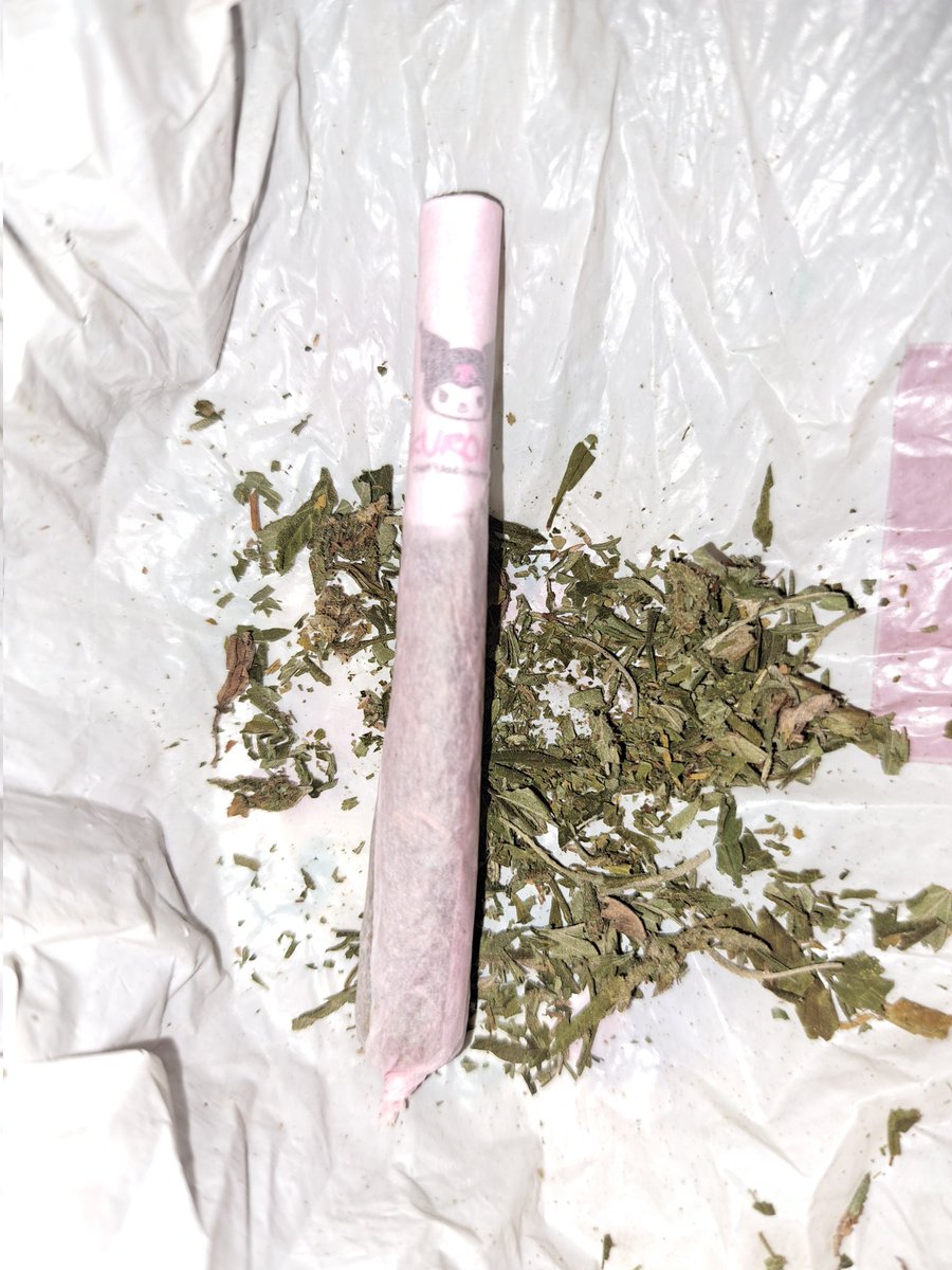 Nezukulo🎋 (@nezukulo_xd) on Twitter photo 