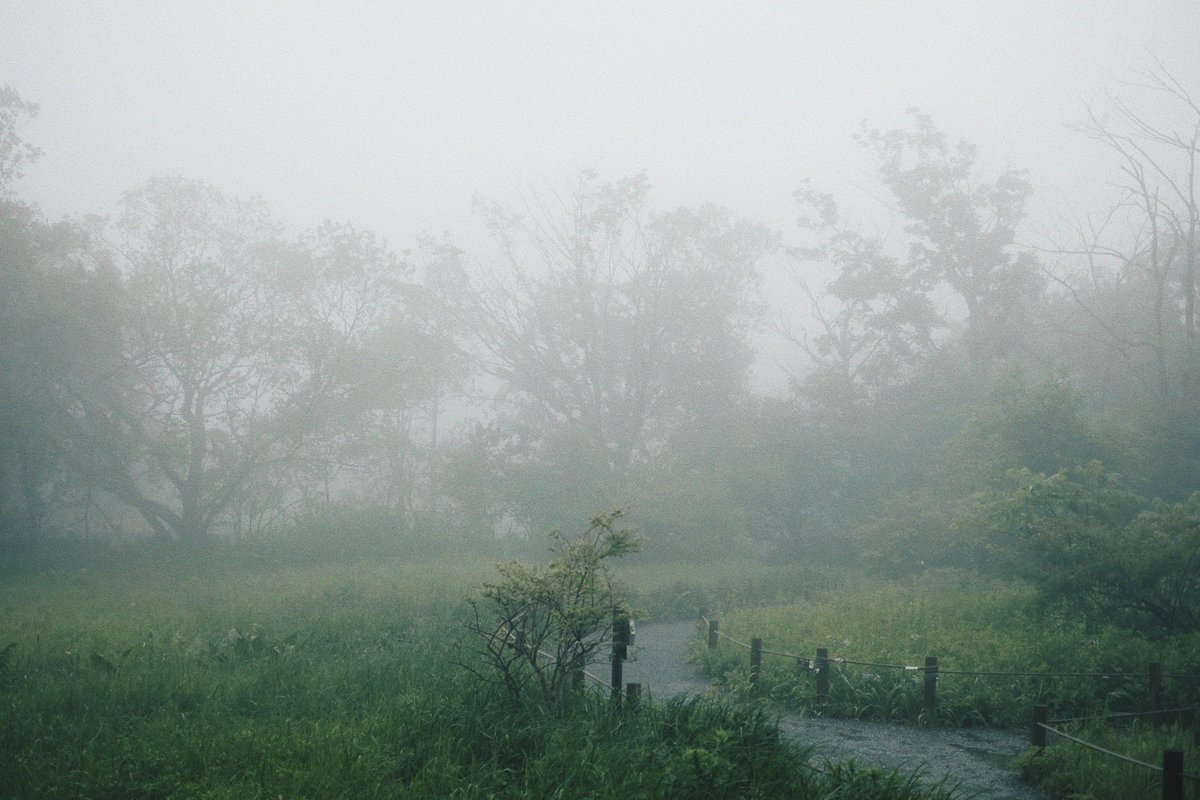 雲の中

#fujifilm_xseries #filmlike #オールドレンズ #フィルムみたいなデジタル