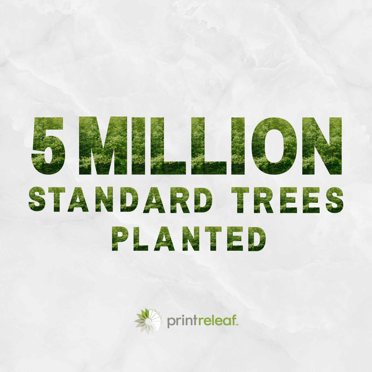 High FIVE 🖐️ to our partners and customers for helping us plant over 5 MILLION trees across our network of global reforestation projects–that's more than 40 BILLION letter pages of paper that have been offset! And remember, these trees will NOT be cut down! 🌿