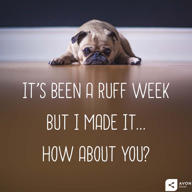 Everyone has those weeks where we are just counting down the days until we get to the weekend. 😫
Even when we finally make it through we just feel exhausted!
What is your fave way to relax after a tough week? 😌
#ToughWeek #Unwind #Relax