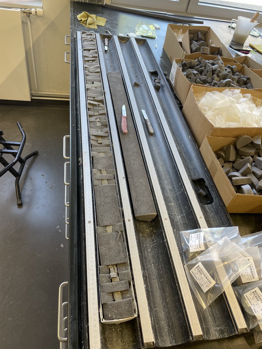 Sophie Hines tweet media