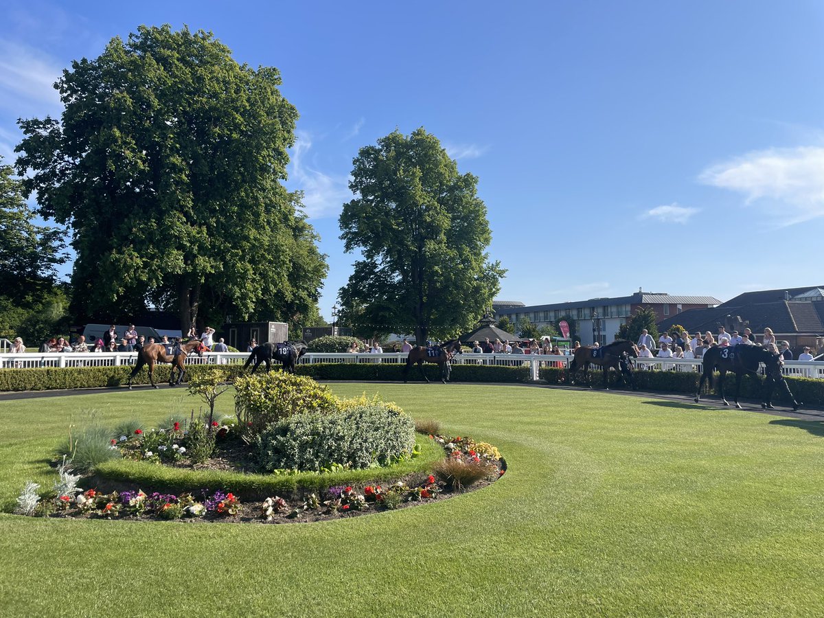 Lingfield Park on Twitter "🇯🇲☀️ TOMORROW ☀️🇯🇲 Nothing beats a Saturday