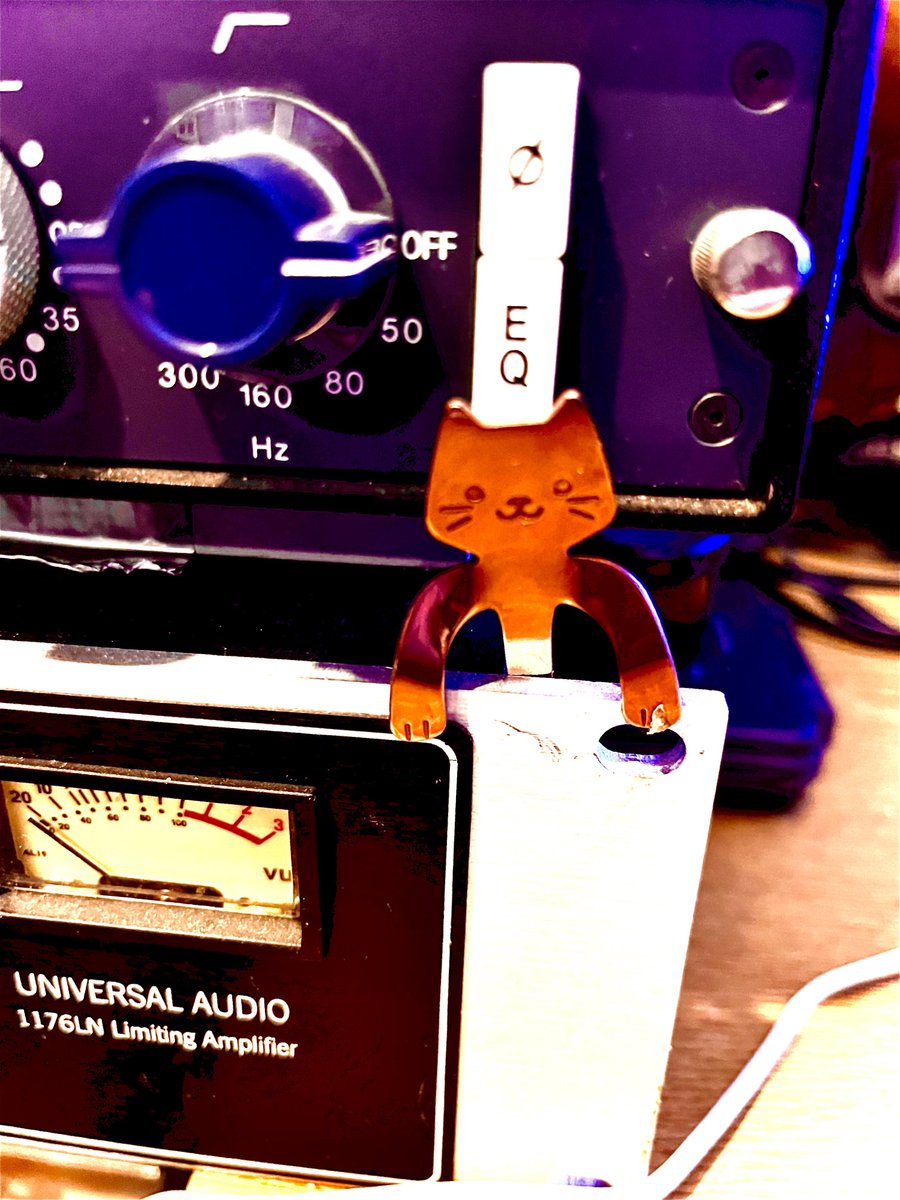 The studio cat. 😆😆😆