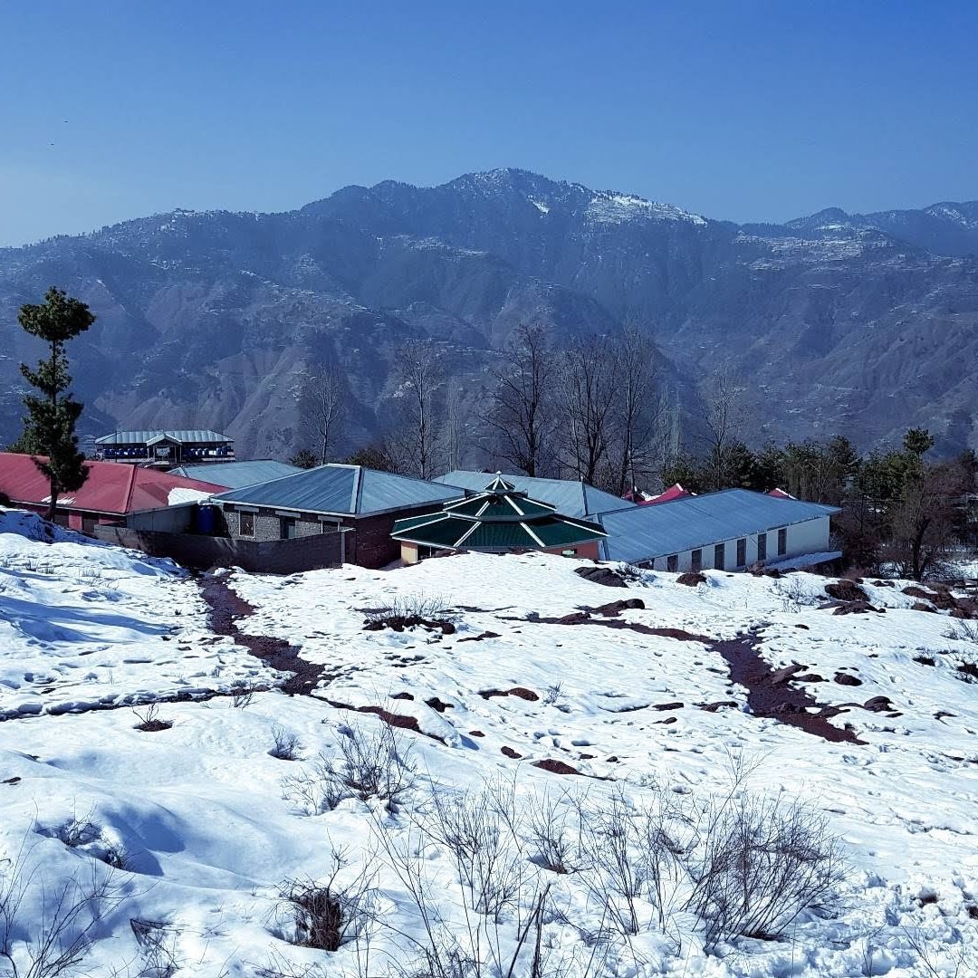 umaransari777's tweet image. #NewProfilePic