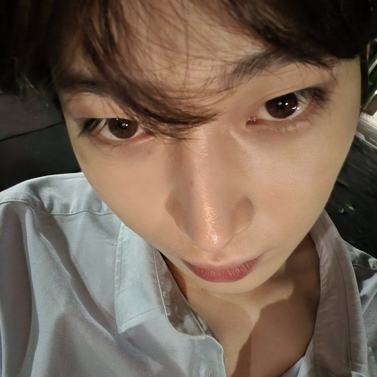 ENHYPEN WEVERSE tweet media