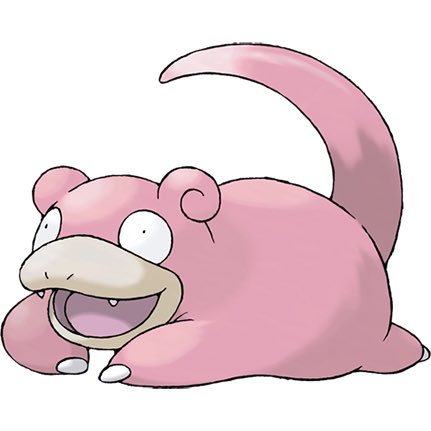 slowpoke95's tweet photo. @mischiefanimals Mine are small but they work! 🐾 https://t.co/wu7du7wtGU