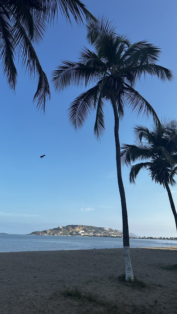 Feliz viernes💫  #PlayaMansa #Lecheria