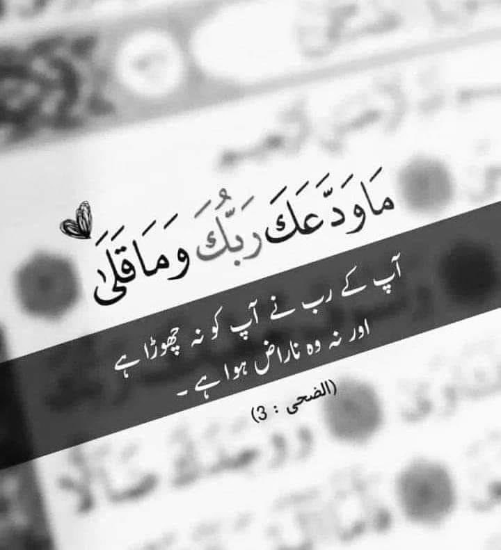 RashidHadayat92's tweet photo. https://t.co/eUTJPOqTBt