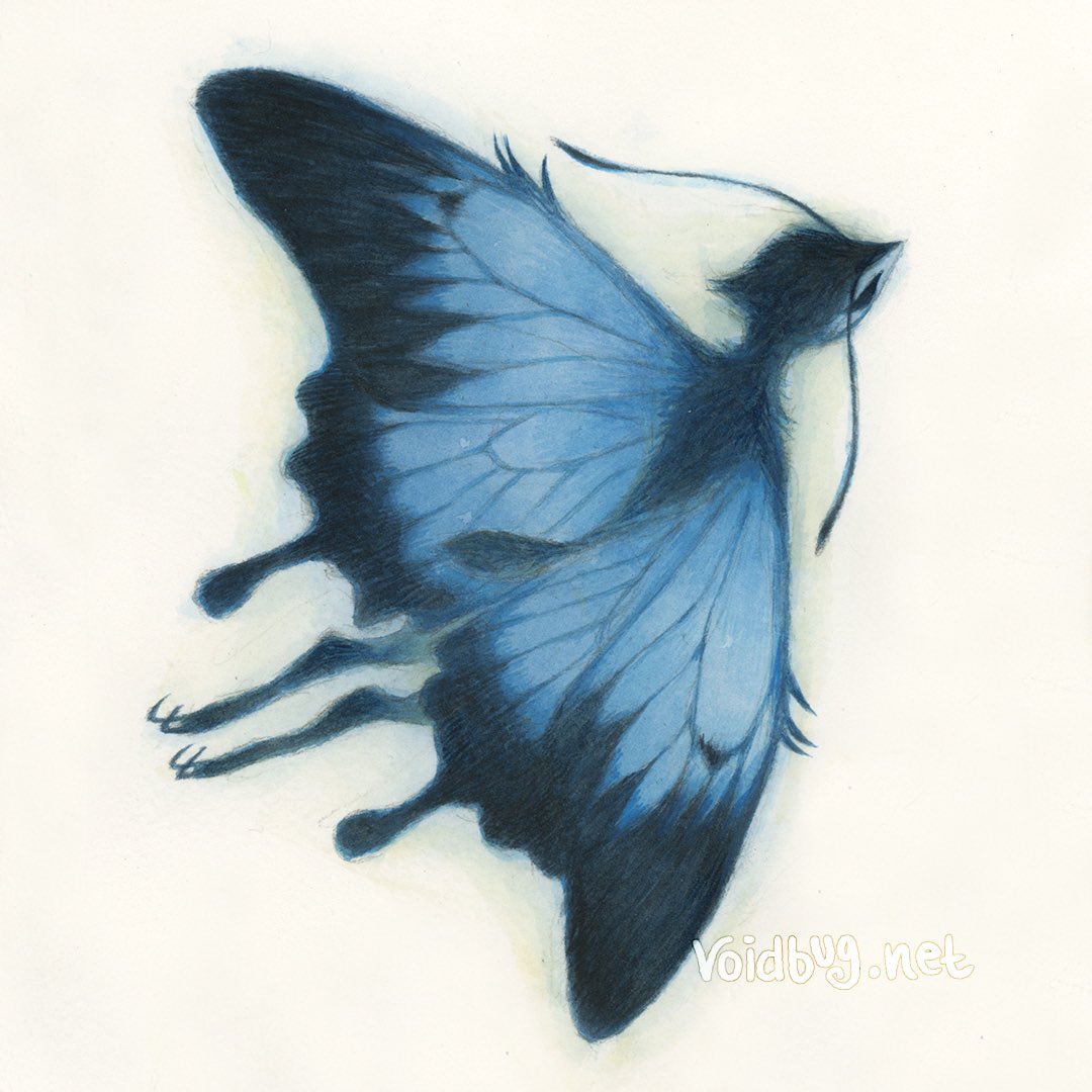 voidbug's tweet photo. 🦋Ulysseys fairy🦋 https://t.co/f6R1SPiGoD