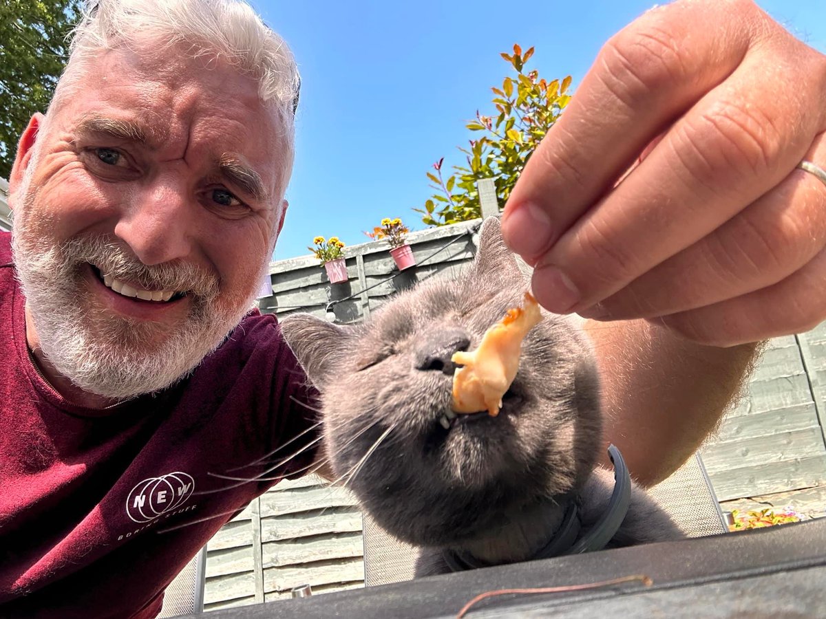 CatCheops's tweet photo. I’m having a great tenth birthday with some lovely chicken. 
#cats #CatsOfTwitter #CatsOfTwitter #birthday https://t.co/Cl3ln3NfLO