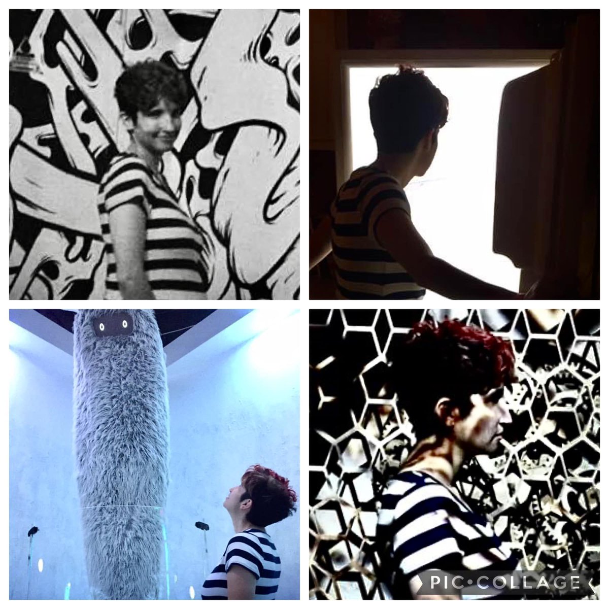 MeowWolfFan1's tweet photo. 6 years ago my life changed forever. @MeowWolf https://t.co/HPAzVkrr0R