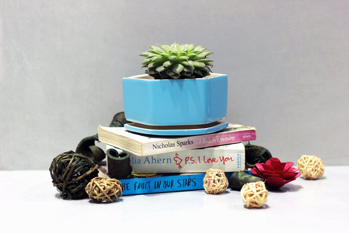 mananda_india's tweet photo. Meline, a solid yet delightful aesthetic planter, adorned with beautiful succulents becomes the pristine highlight of your décor, to be used as desired by coupling these monochrome pots with plants or storing your essentials like keys and ornament pieces. #makeastatement #india https://t.co/6LxWQINwdZ