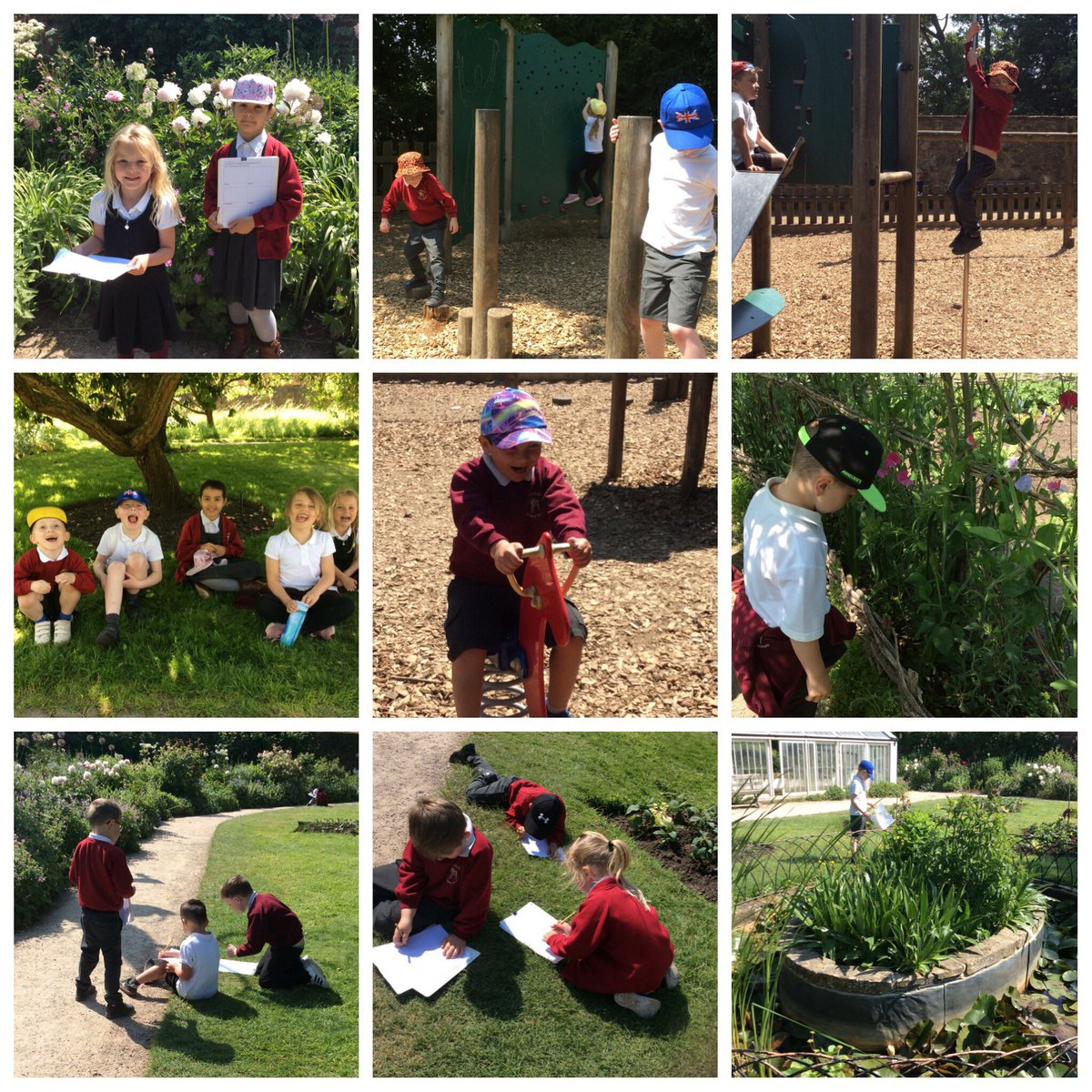 Robins had a fantastic day at Calle Abbey recognising evergreen and deciduous tree and looking at all the flowers, fruit and vegetables growing. They also had fun playing in the park together. Well done all of you. 🌟😎