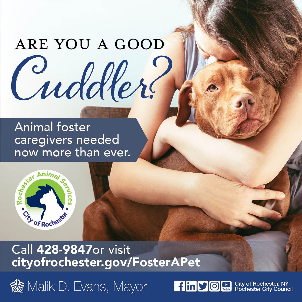 Animal Foster Caregivers Needed Now More Than Ever! 

#adopttoday #animals #caregiversupport #FosterAPet
