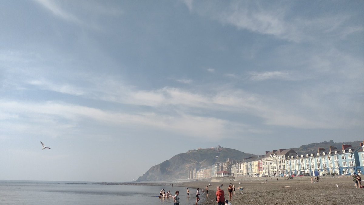 o__olver's tweet photo. Not a cheerful #30DaysWild today, because Aberystwyth is very smokey this evening due to a fire in Penglais woods. I smelt of smoke after a tiny walk to the sea. A reminder to not start fires or litter (esp glass), and to do something about the climate crisis https://t.co/pg5ctkbXmV