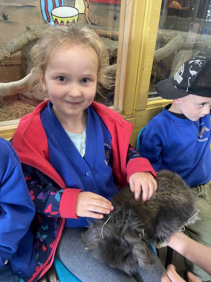 misscspenceRPS's tweet photo. Reception have had so much fun on their first ever trip to the amazing @WhitehouseFarm_ Thank you for a fun filled day! @RedesdalePrim https://t.co/cgP92iOjbi