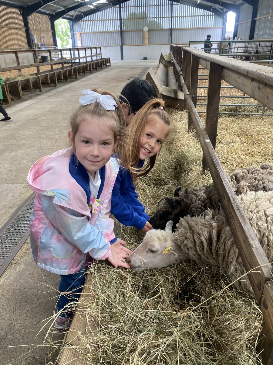 misscspenceRPS's tweet photo. Reception have had so much fun on their first ever trip to the amazing @WhitehouseFarm_ Thank you for a fun filled day! @RedesdalePrim https://t.co/cgP92iOjbi