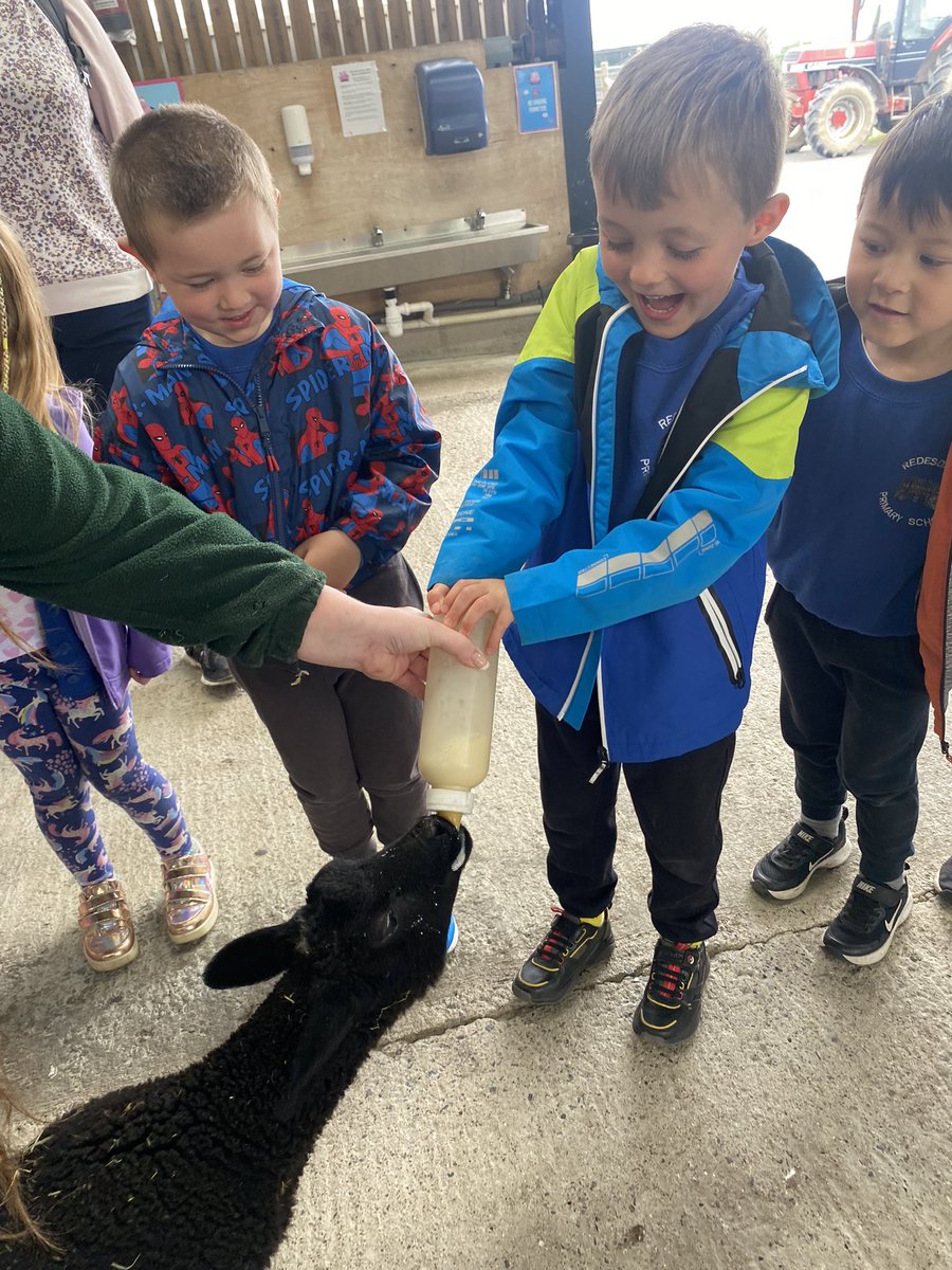 misscspenceRPS's tweet photo. Reception have had so much fun on their first ever trip to the amazing @WhitehouseFarm_ Thank you for a fun filled day! @RedesdalePrim https://t.co/cgP92iOjbi