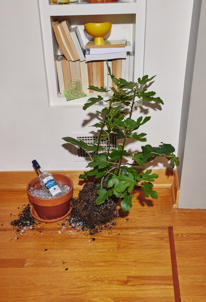 It's giving ✨priorities✨
#deepeddy #deepeddyvodka #beachroadweekend

Beach Road Weekend presented by the Black Dog is in just 3 weeks! <a href="/DeepEddyVodka/">Deep Eddy Vodka</a> will be there, will you? 👀