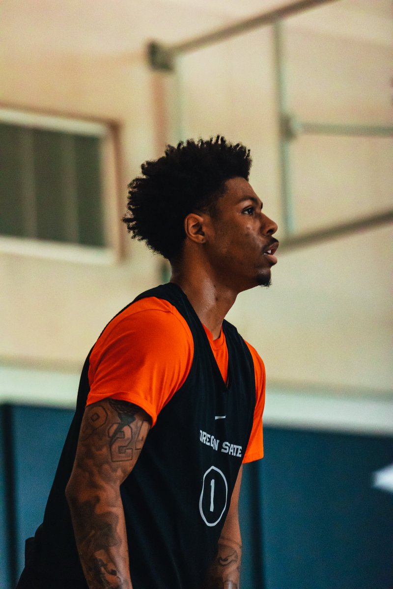 Oregon State Hoops tweet media