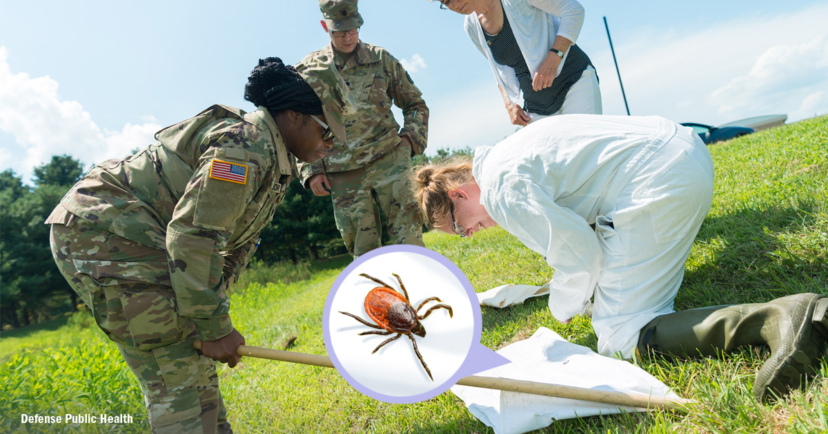 Fort A.P. Hill on Twitter "DefensePublicHealth monitors vectorborne