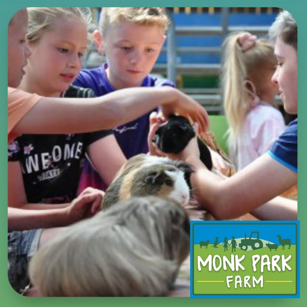 So many lovely things to share about Monk Park Farm near Thirsk, the prefect day out for the family. Don't forget to book your tikcets in advance as weekends can get busy!

Lots of exciting Summer activities coming soon, so watch this space!

#Thirsk #DiscoverHambleton
