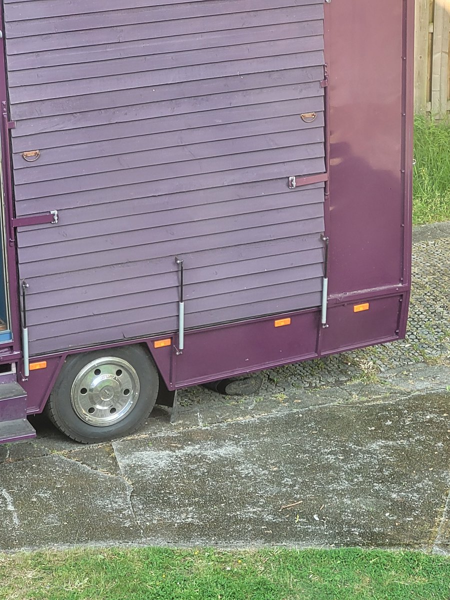 Nicentidy tweet media