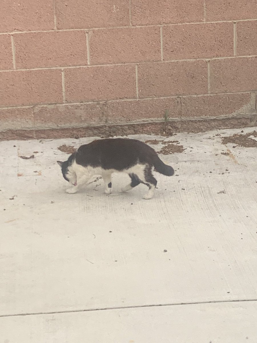 Betsy Bauer tweet media