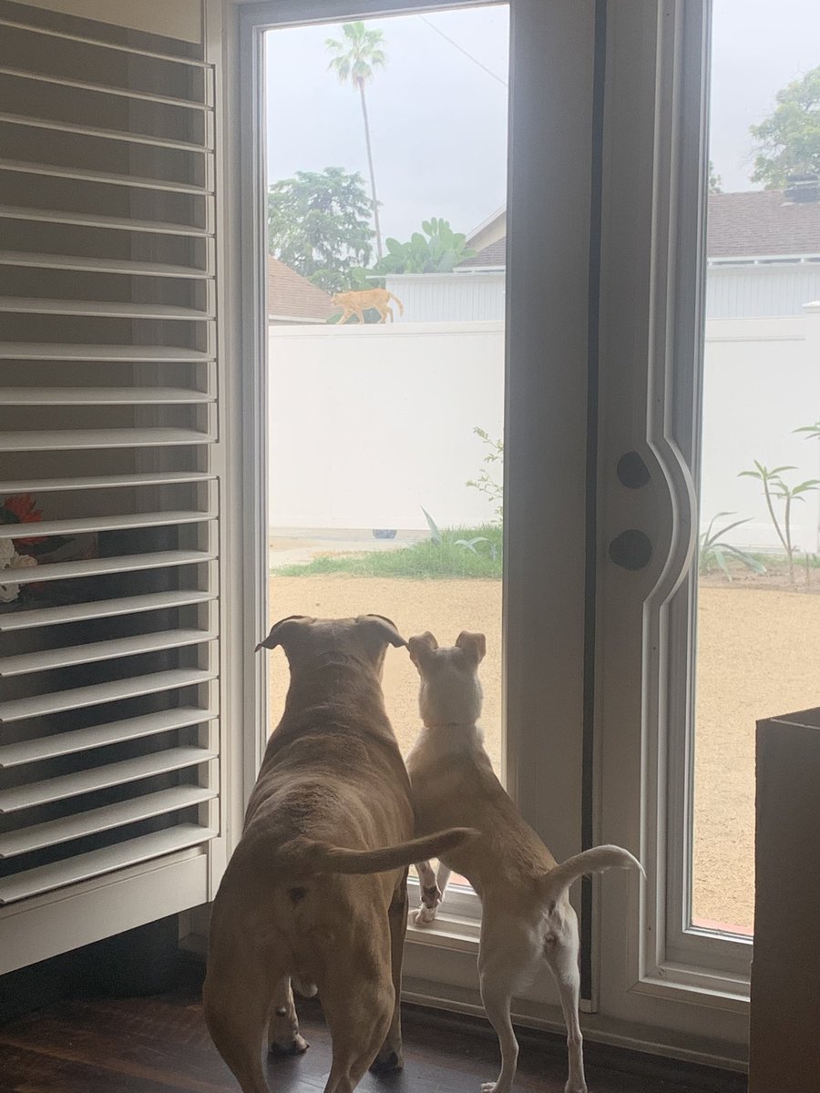 Betsy Bauer tweet media