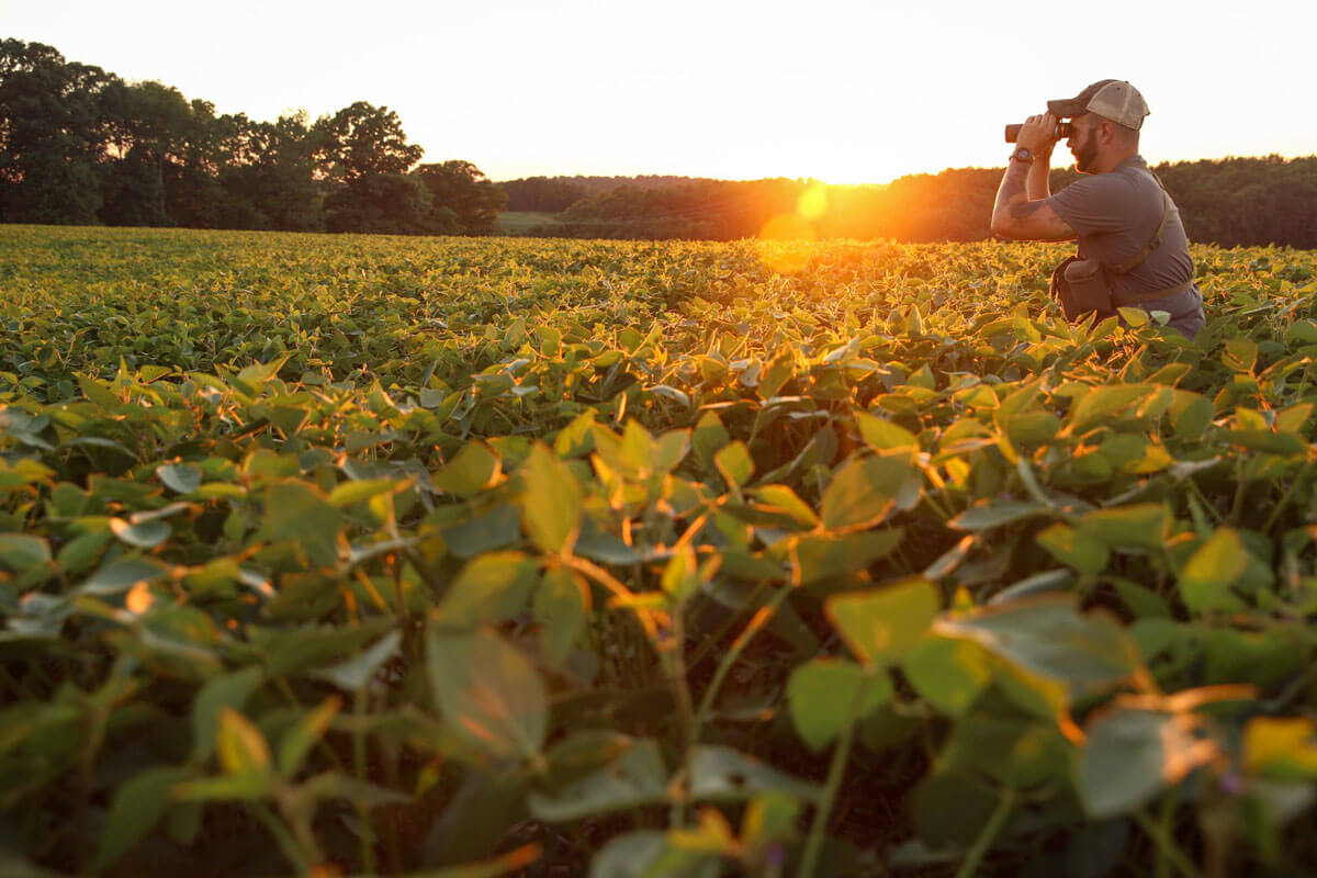 SPORTSMANchnl's tweet image. Now is the time to get your food plots prepped, and ready for fall. Know your plots and food types to property set the food plot trap via @BOWHUNTINGMAG: ow.ly/PfNZ50OA85M

#ITSINOURBLOOD #hunting #foodplots #deer #deerhunting #whitetail #whitetaildeer #whitetailhunting