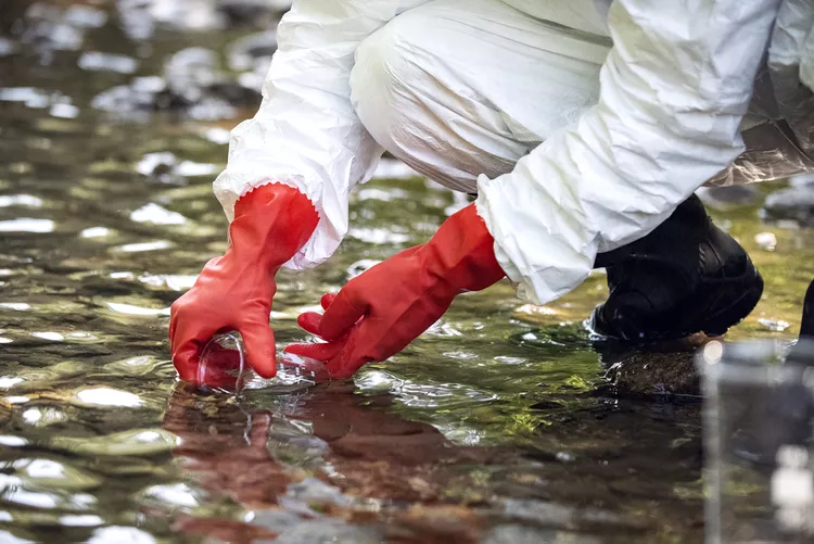 LeverNews's tweet photo. 🧵 "Forever chemicals," which cause cancer and birth defects, are ubiquitous in our water, soil, and 97% of Americans' blood.  

New documents reveal that PFAS manufacturers knew they were toxic 40 years before the public did — and worked to suppress their own research. 👇 https://t.co/U9nDPqZsne