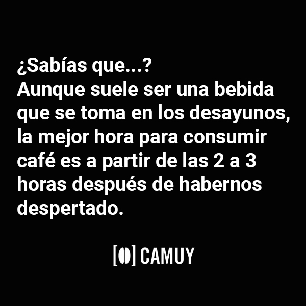 Cafés Camuy (@cafescamuy) on Twitter photo 