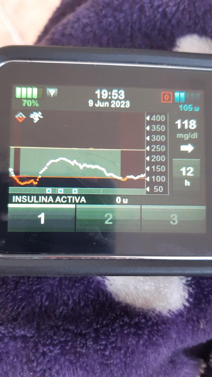 NicaMonzen's tweet image. #Miedo a #comer porque causa  #dolor #cólico #hipoglucemia llegué a 29😰 x la  No absorción comida #gastroparesia #disautonomia y con  #insulina activa y #glucagón .
Sigo con nivel glucémico "justo" para mí, y a mí lado #NikaPerraAlertaMédica me salvas la #vida 🐕‍🦺🎀 #amore