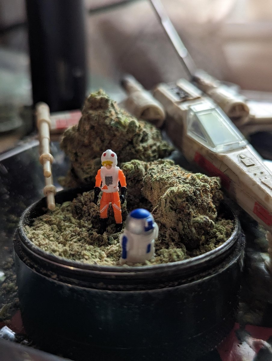 Skywalkin #WriteWeed #CannabisCommunity #PuffPUffPass #IAmGDC