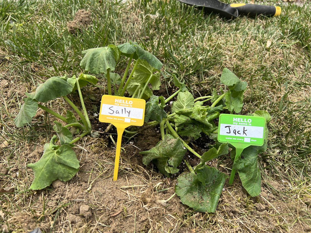 Ilana Keller tweet media