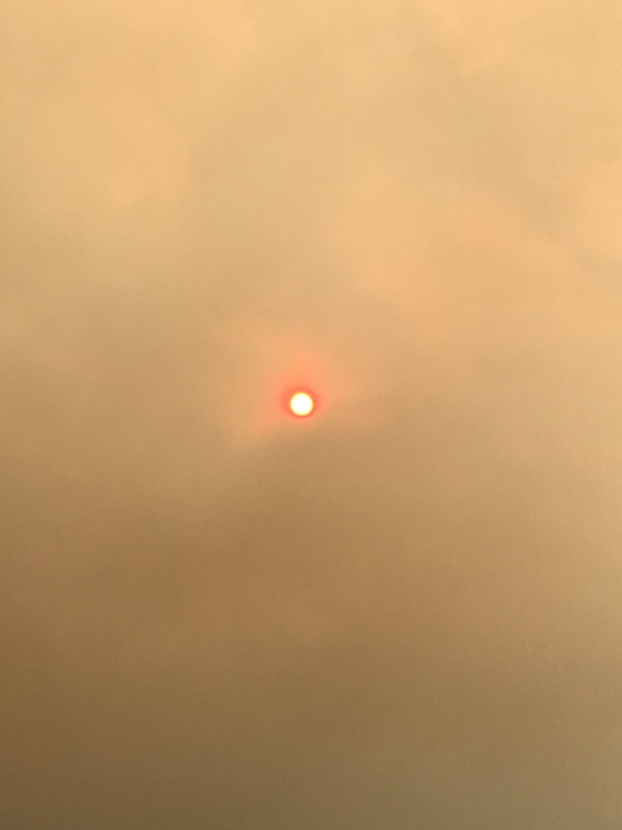 kimicocoyo's tweet image. For all you on the East Coast from this West Coast girl my heart is with you. These are some photos from the many fires we’ve had around the LA basin Pics from my neighborhood #StayInside #ThisWillPass #CanadianFires #EastCoastSmoke #Fires #SoCalFires #Canada