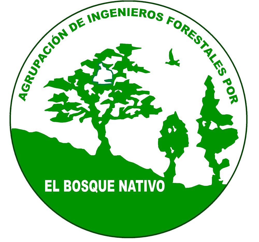 CODEFF Chile tweet media