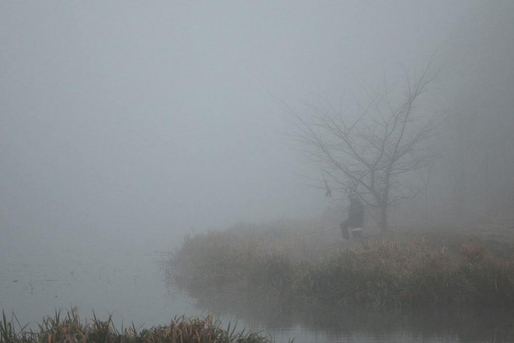 PolzerAndrea's tweet photo. Finding ourselves in the fog  of not-knowing may be an opportunity to slow down and reflect - just for  a moment - so that we can become more open to seeing what unfolds as  the fog lifts. https://t.co/LQLVyVSl3Z